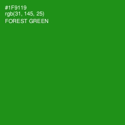 #1F9119 - Forest Green Color Image