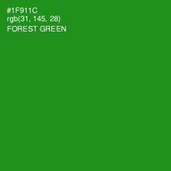 #1F911C - Forest Green Color Image