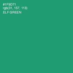 #1F9D71 - Elf Green Color Image