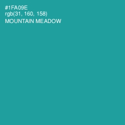 #1FA09E - Mountain Meadow Color Image