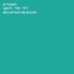 #1FA89D - Mountain Meadow Color Image
