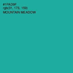 #1FAD9F - Mountain Meadow Color Image