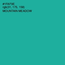 #1FAF9E - Mountain Meadow Color Image