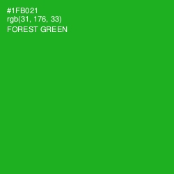 #1FB021 - Forest Green Color Image