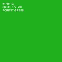 #1FB11C - Forest Green Color Image
