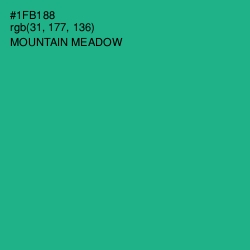 #1FB188 - Mountain Meadow Color Image