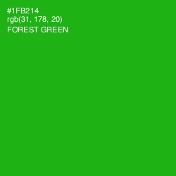 #1FB214 - Forest Green Color Image