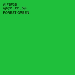 #1FBF3B - Forest Green Color Image