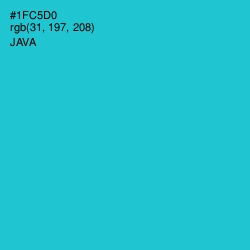 #1FC5D0 - Java Color Image