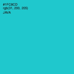 #1FC8CD - Java Color Image