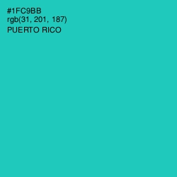 #1FC9BB - Puerto Rico Color Image