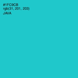 #1FC9CB - Java Color Image