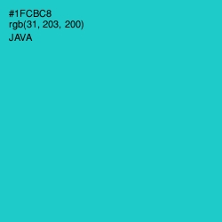 #1FCBC8 - Java Color Image