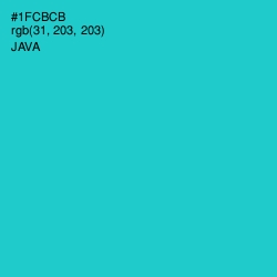 #1FCBCB - Java Color Image