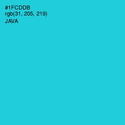 #1FCDDB - Java Color Image