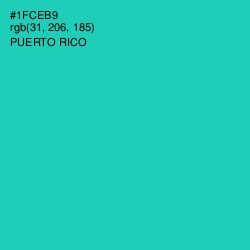 #1FCEB9 - Puerto Rico Color Image