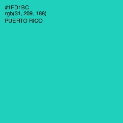 #1FD1BC - Puerto Rico Color Image