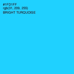#1FD1FF - Bright Turquoise Color Image