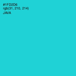 #1FD2D6 - Java Color Image