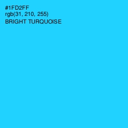 #1FD2FF - Bright Turquoise Color Image