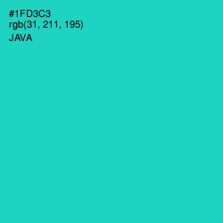 #1FD3C3 - Java Color Image
