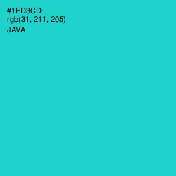 #1FD3CD - Java Color Image