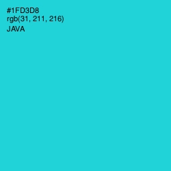 #1FD3D8 - Java Color Image