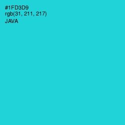 #1FD3D9 - Java Color Image