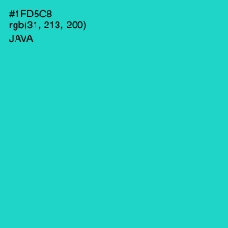 #1FD5C8 - Java Color Image