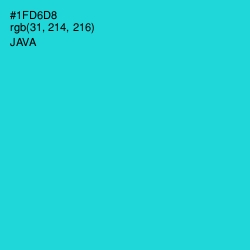 #1FD6D8 - Java Color Image