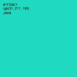 #1FD9C1 - Java Color Image