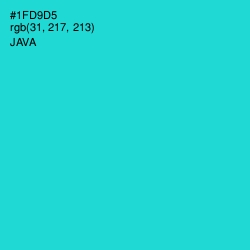 #1FD9D5 - Java Color Image