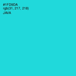 #1FD9DA - Java Color Image