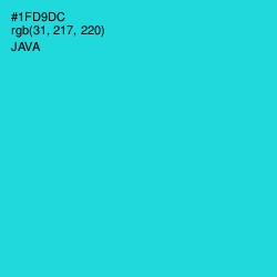 #1FD9DC - Java Color Image