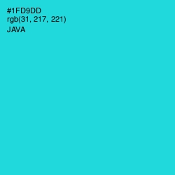 #1FD9DD - Java Color Image