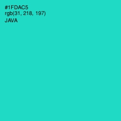 #1FDAC5 - Java Color Image