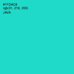 #1FDAC8 - Java Color Image