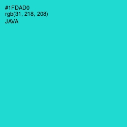 #1FDAD0 - Java Color Image