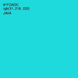 #1FDADC - Java Color Image