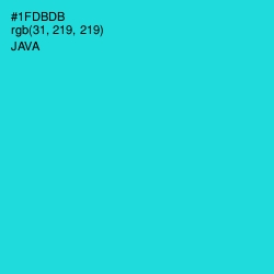#1FDBDB - Java Color Image