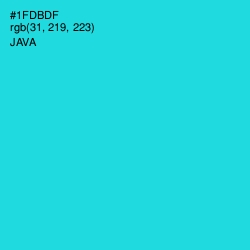 #1FDBDF - Java Color Image