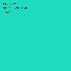 #1FDCC1 - Java Color Image