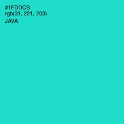 #1FDDCB - Java Color Image