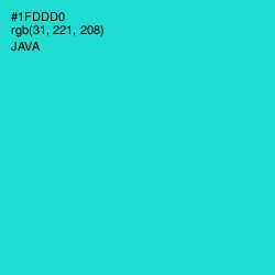 #1FDDD0 - Java Color Image