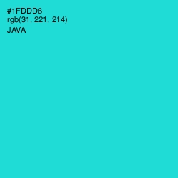 #1FDDD6 - Java Color Image