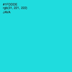 #1FDDDE - Java Color Image