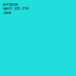 #1FDEDB - Java Color Image