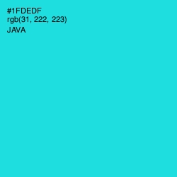 #1FDEDF - Java Color Image