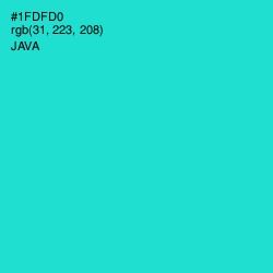 #1FDFD0 - Java Color Image