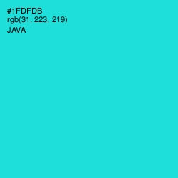 #1FDFDB - Java Color Image